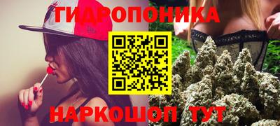 индика Тара