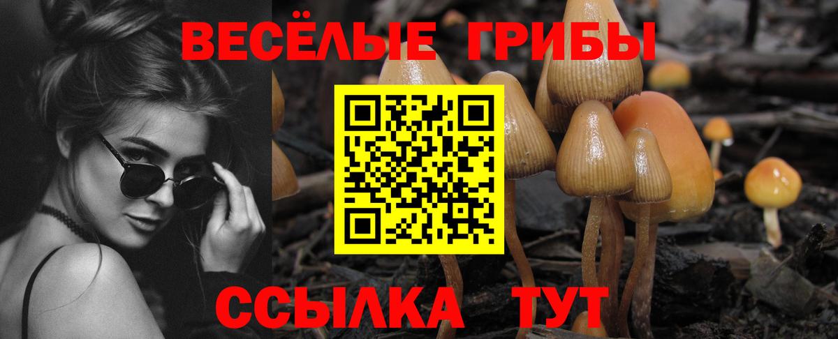 купить наркоту  Галлюциногенные грибы прущие грибы  Ипатово  Вход с VPN  Псилоцибиновые грибы MAGIC MUSHROOMS 